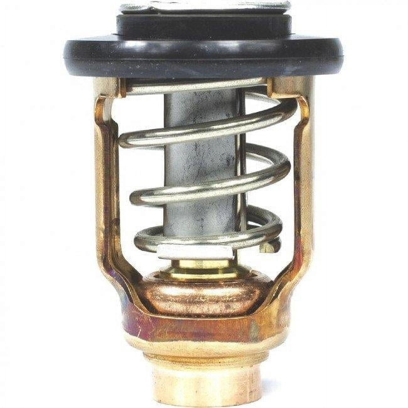 Thermostat Kit