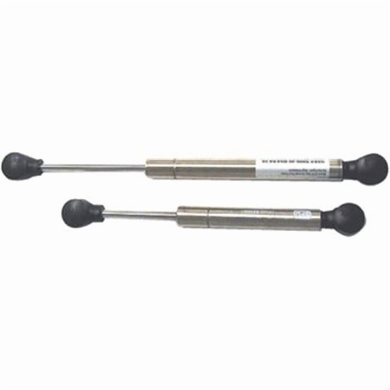 Gas Spring Stainless