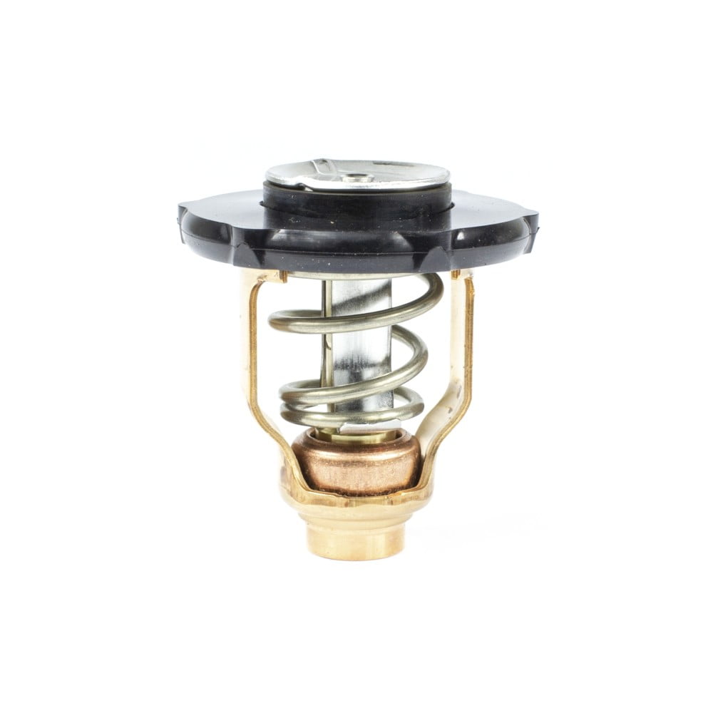 Thermostat Kit