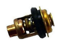 Thermostat Kit