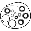 Lower Unit Seal Kit