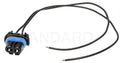 Socket Assy