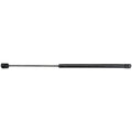 Back Glass Lift Support