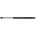 Trunk Lid Lift Support