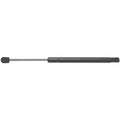 Trunk Lid Lift Support
