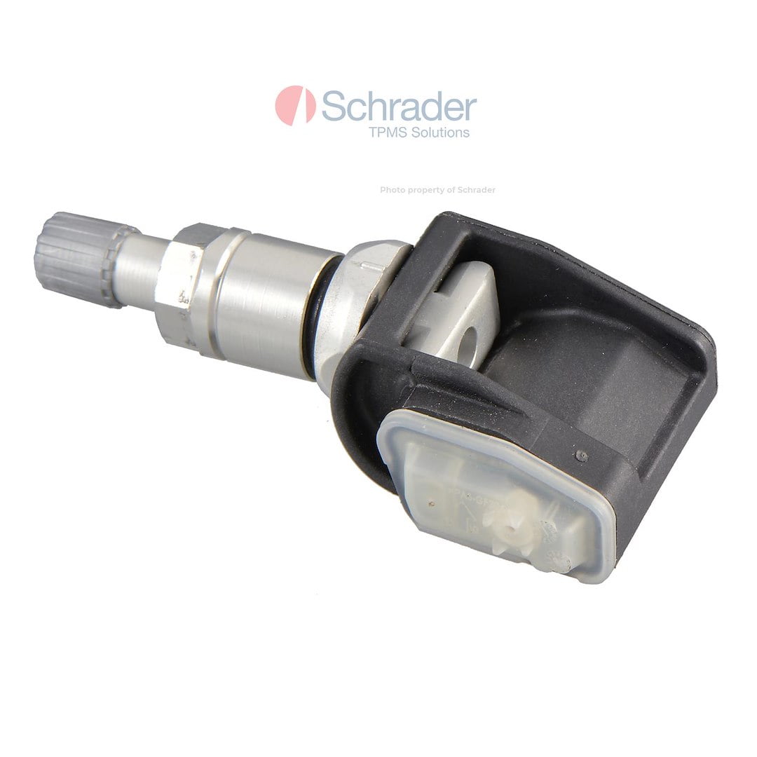 The Main Resource 29135 Schrader Aluminium Clamp-in Variabl