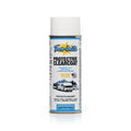 Protective Clear Coat 12 Oz Aerosol