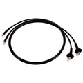 Two Hoses W/Bulkhead Fitt 18FT