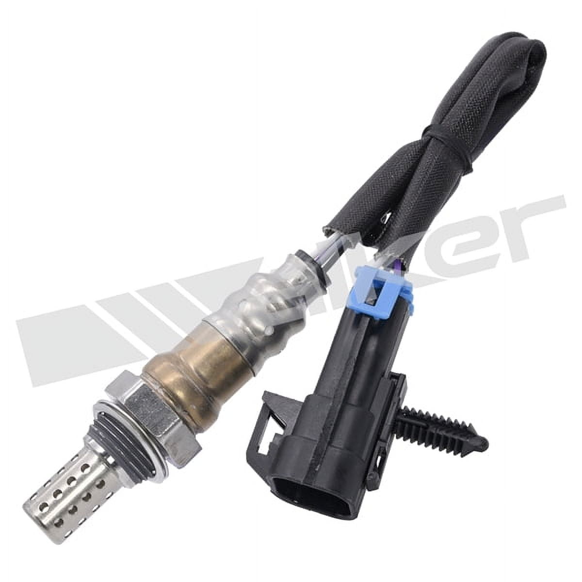 Oxygen Sensor