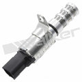 Engine Variable Valve Timing (Vvt)