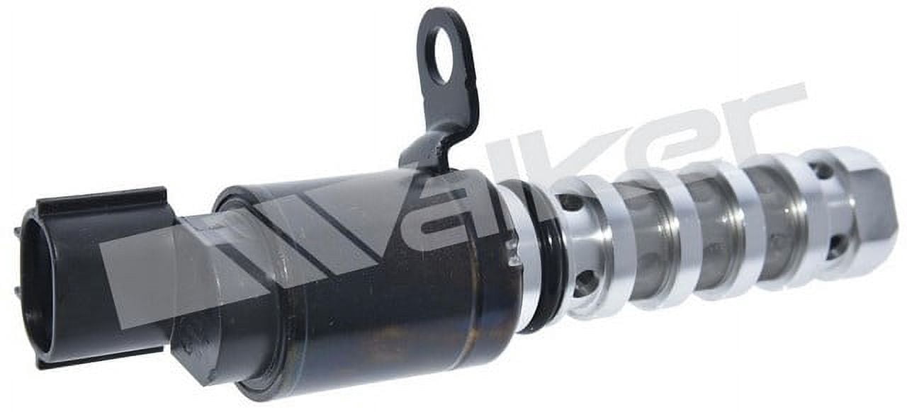 Engine Variable Valve Timing (Vvt)