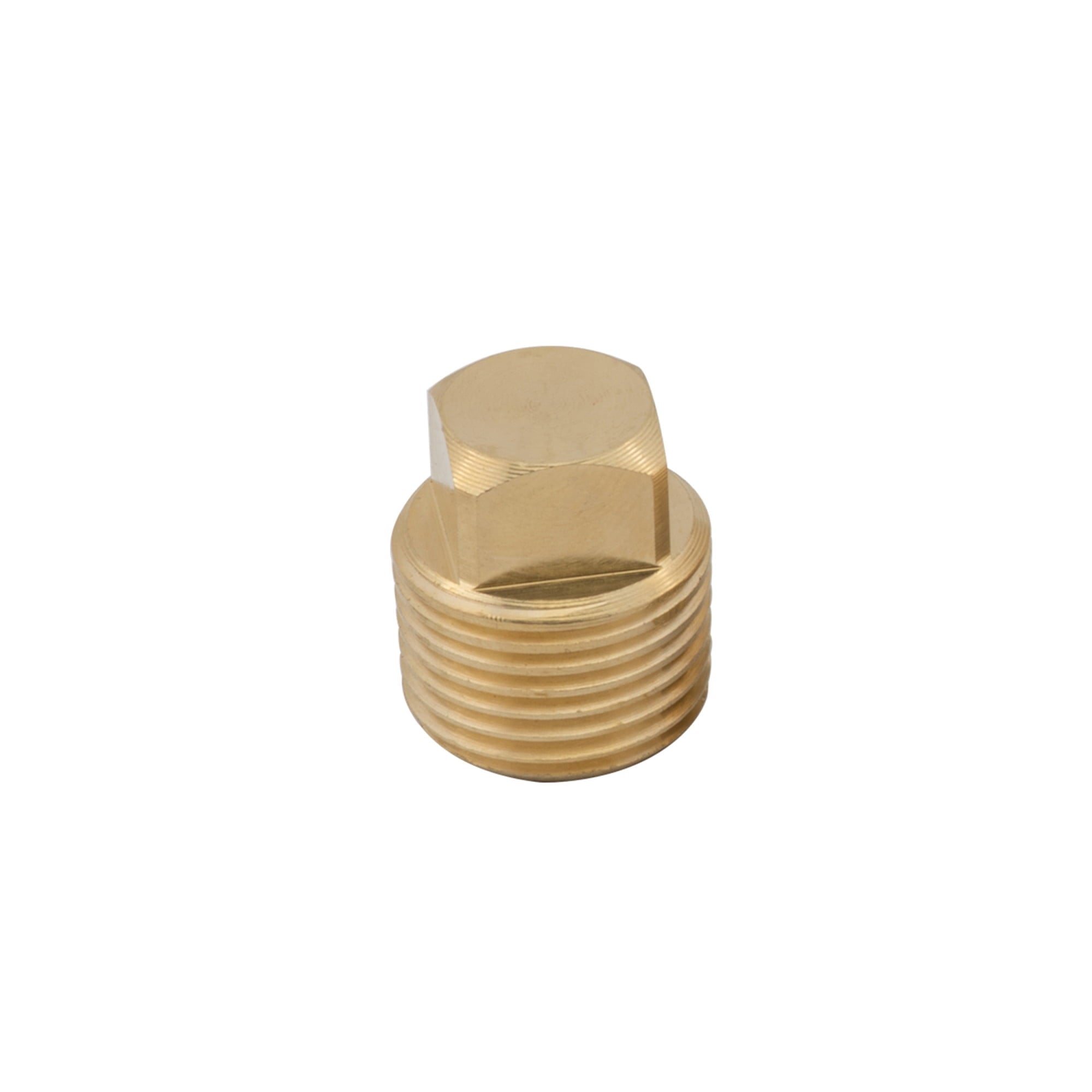Pkgd. 1/2" Brass Plug Only