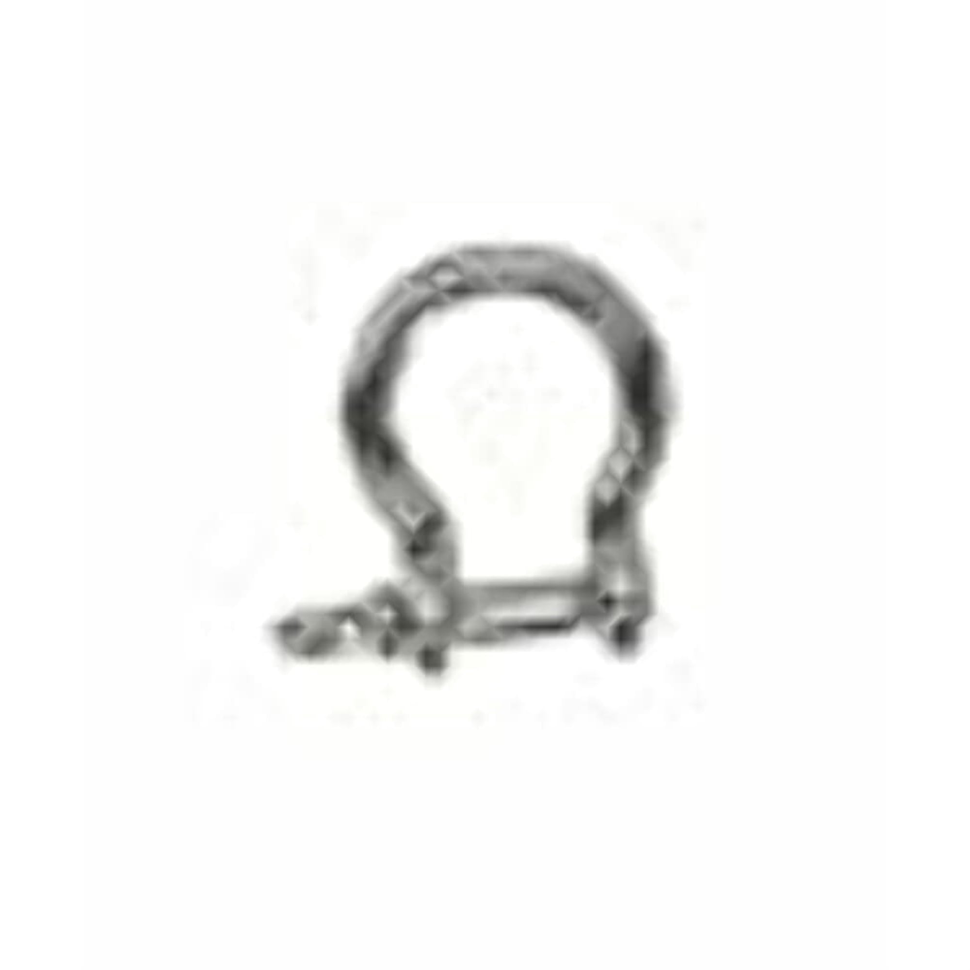 S.s. Anchor Shackle - 5/16'