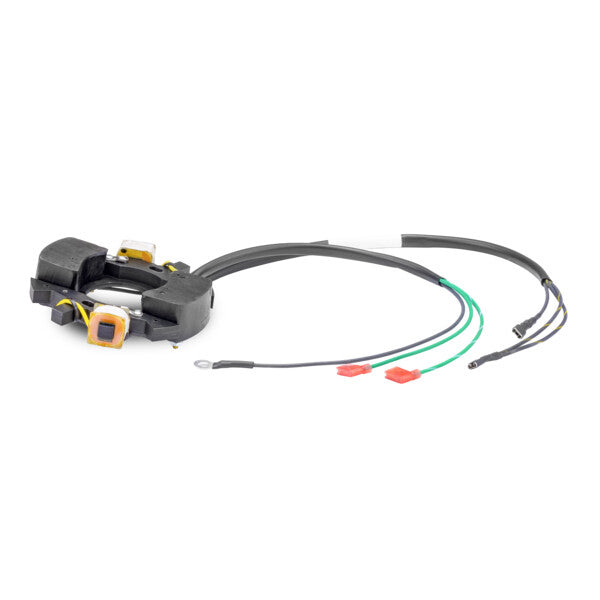 Stator Chrysler Force Sears & Gamefisher Eska 2 Cyl.